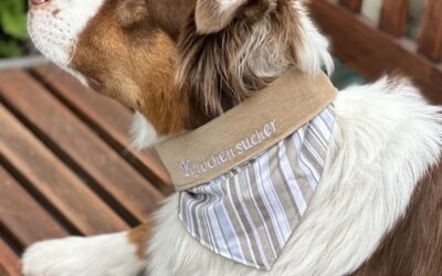 Hundehalstücher