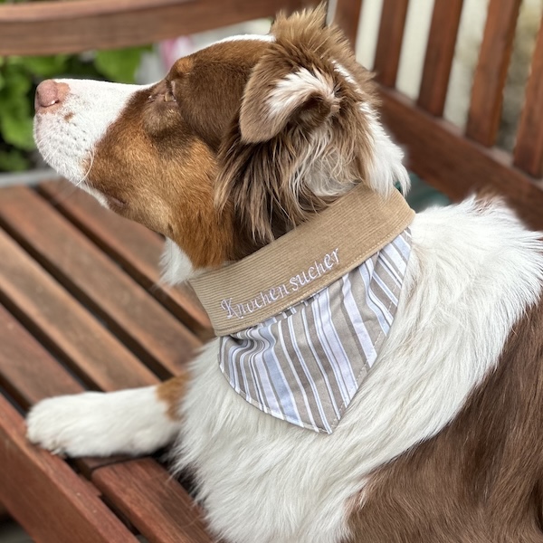 Hundehalstücher